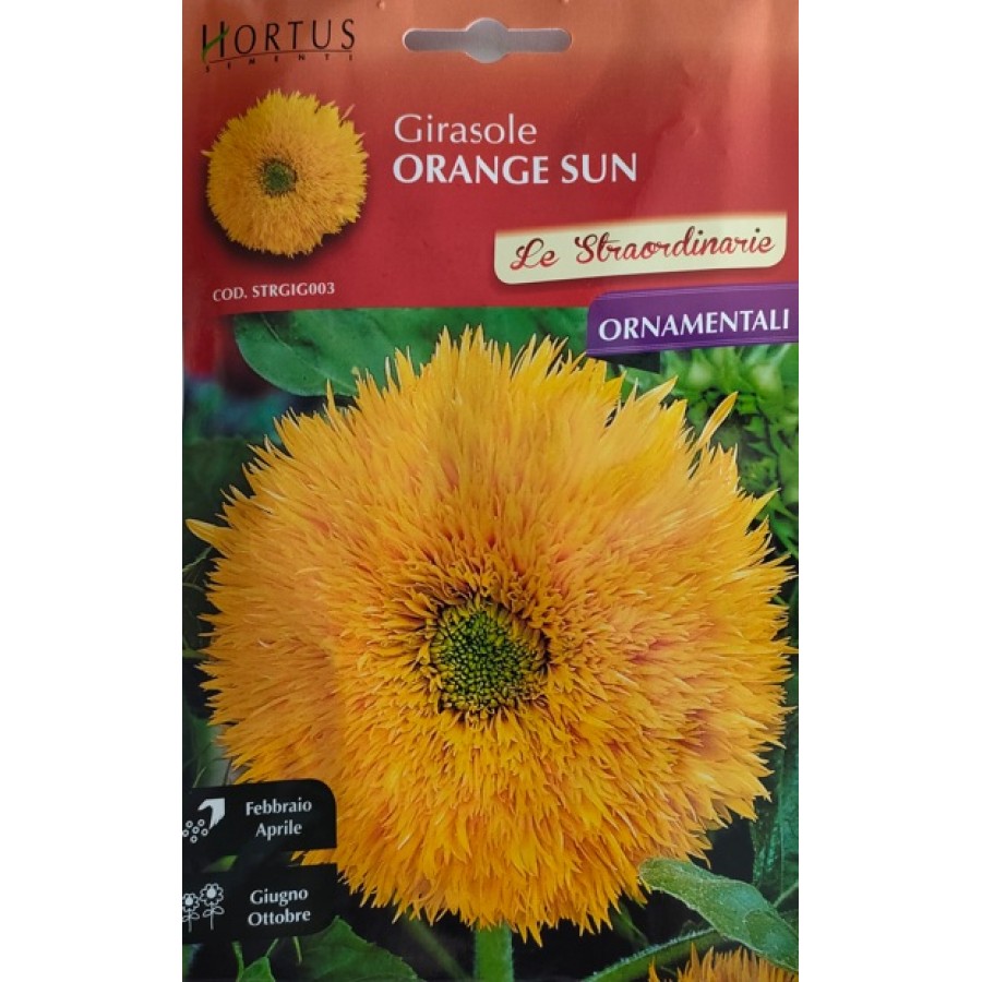 S.GIRASSOL ORANGE SUN HORTUS S.GIRASSOL ORANGE SUN HORTUS