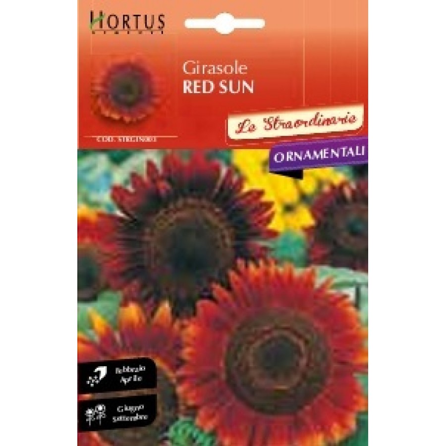 S.GIRASSOL RED SUN HORTUS S.GIRASSOL RED SUN HORTUS