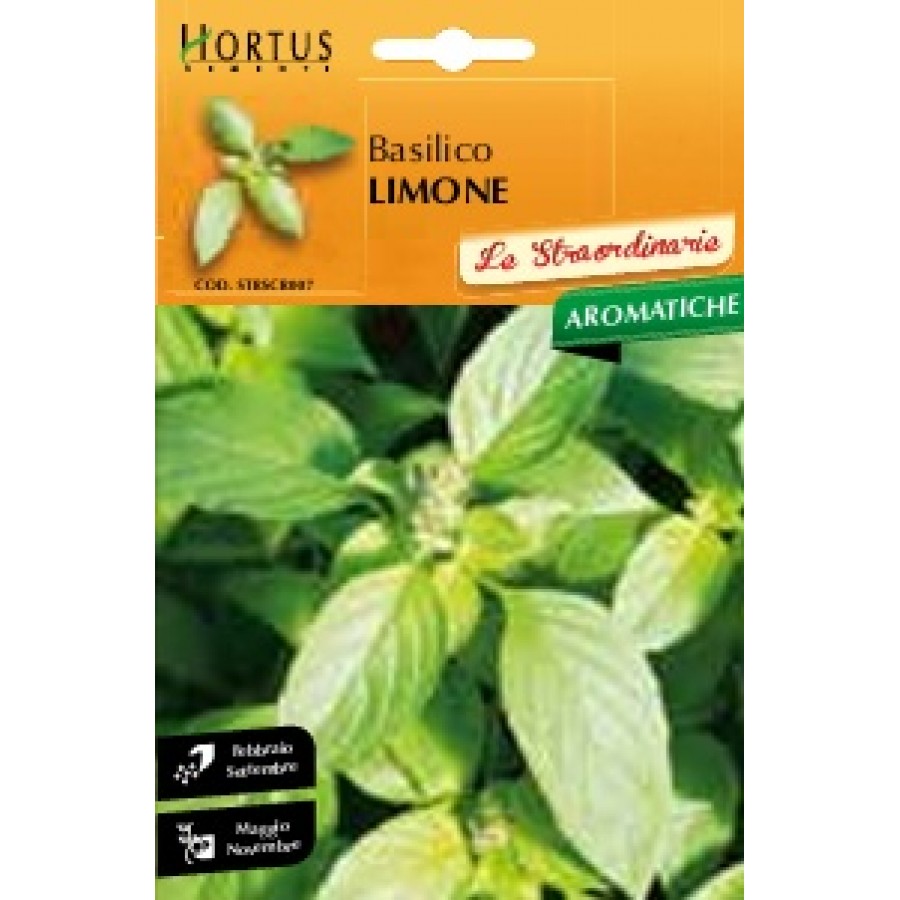 S.MANJERICÃO LIMÃO HORTUS S.MANJERICÃO LIMÃO HORTUS