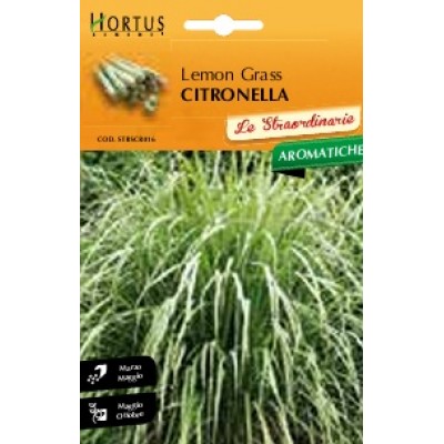S.CITRONELA HORTUS