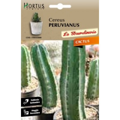S.CACTUS CEREUS PERUVIANUS HORTUS
