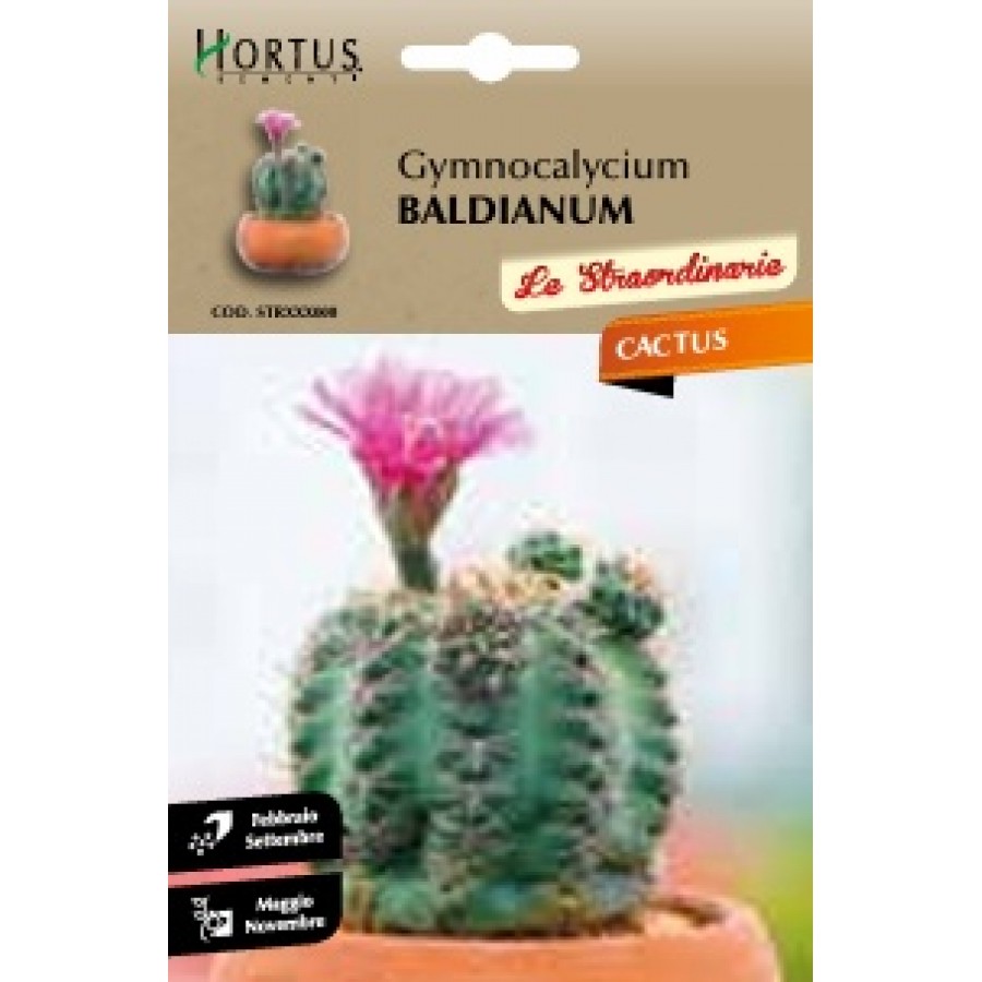 S.CACTUS GYMNOCALYCIUM BALDIANUM HORTUS