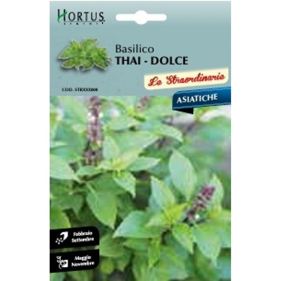 S.MANJERICÃO THAI DOLCE HORTUS S.MANJERICÃO THAI DOLCE HORTUS