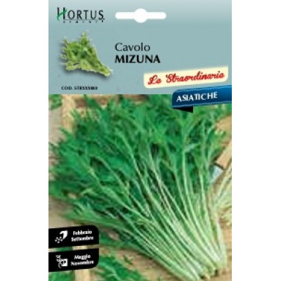 S.MIZUNA VERDE HORTUS