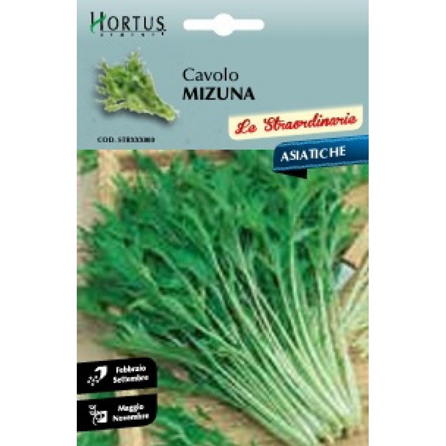 S.MIZUNA VERDE HORTUS
