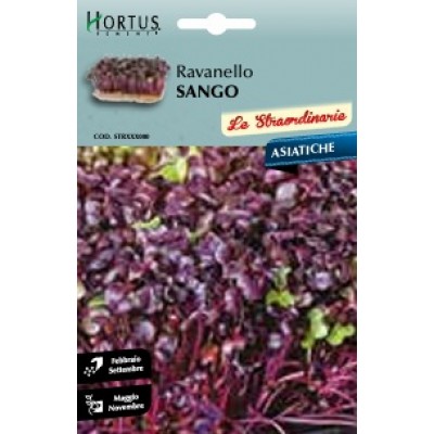 S.RABANETE SANGO HORTUS