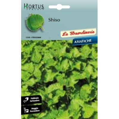 S.SHISO VERDE HORTUS