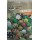 S.CACTUS CACTACEE MIX  HORTUS