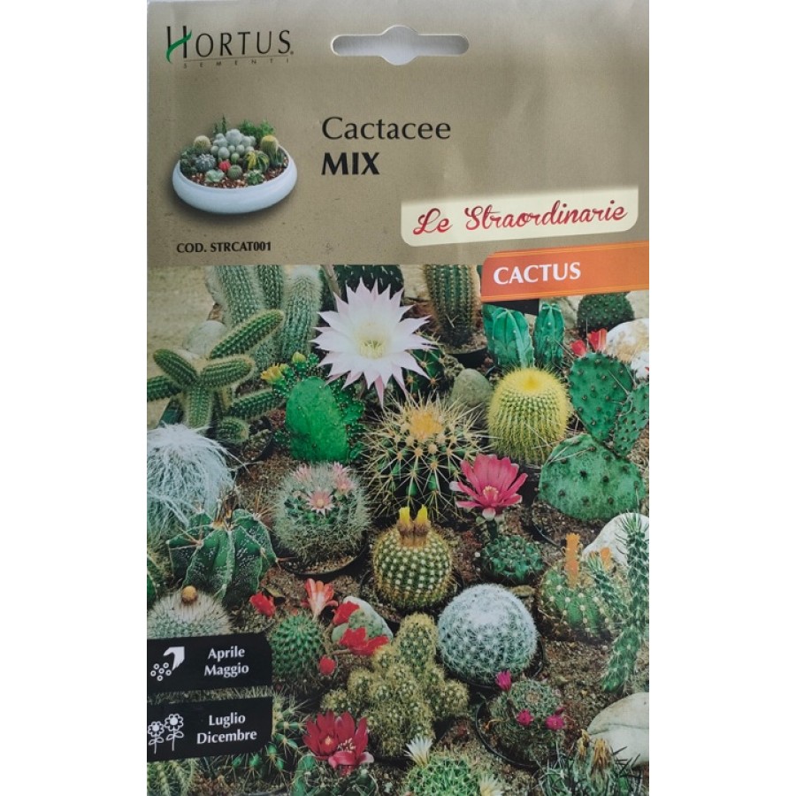 S.CACTUS CACTACEE MIX  HORTUS