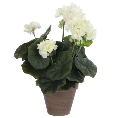 GERÂNIO COR CREME PVC EM VASO