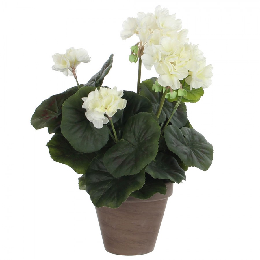 GERÂNIO COR CREME PVC EM VASO GERÂNIO COR CREME PVC EM VASO