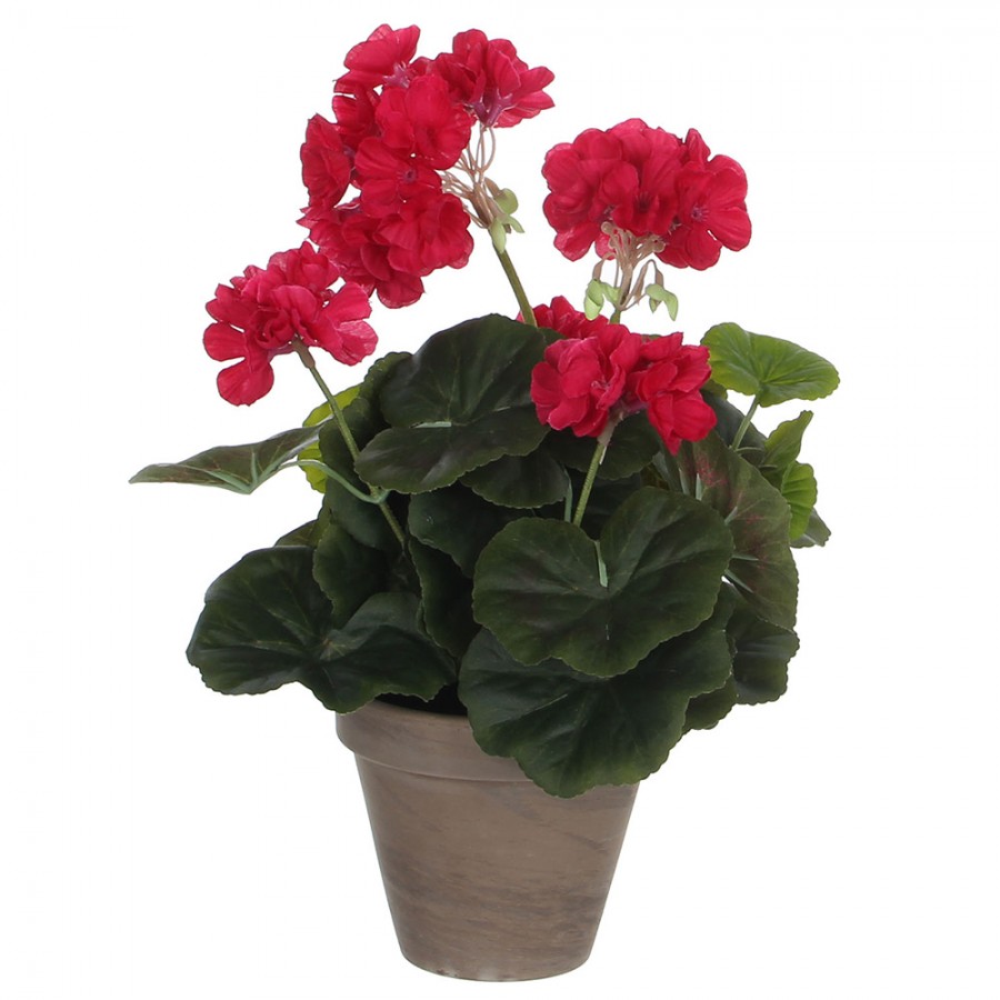 GERÂNIO COR DE ROSA ESCURO PVC EM VASO CINZENTO GERÂNIO COR DE ROSA ESCURO PVC EM VASO CINZENTO