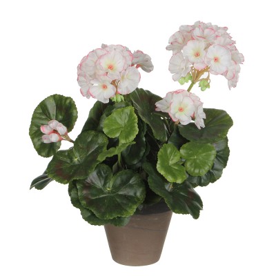 GERÂNIO COR BRANCO ROSA PVC EM VASO CINZENTO