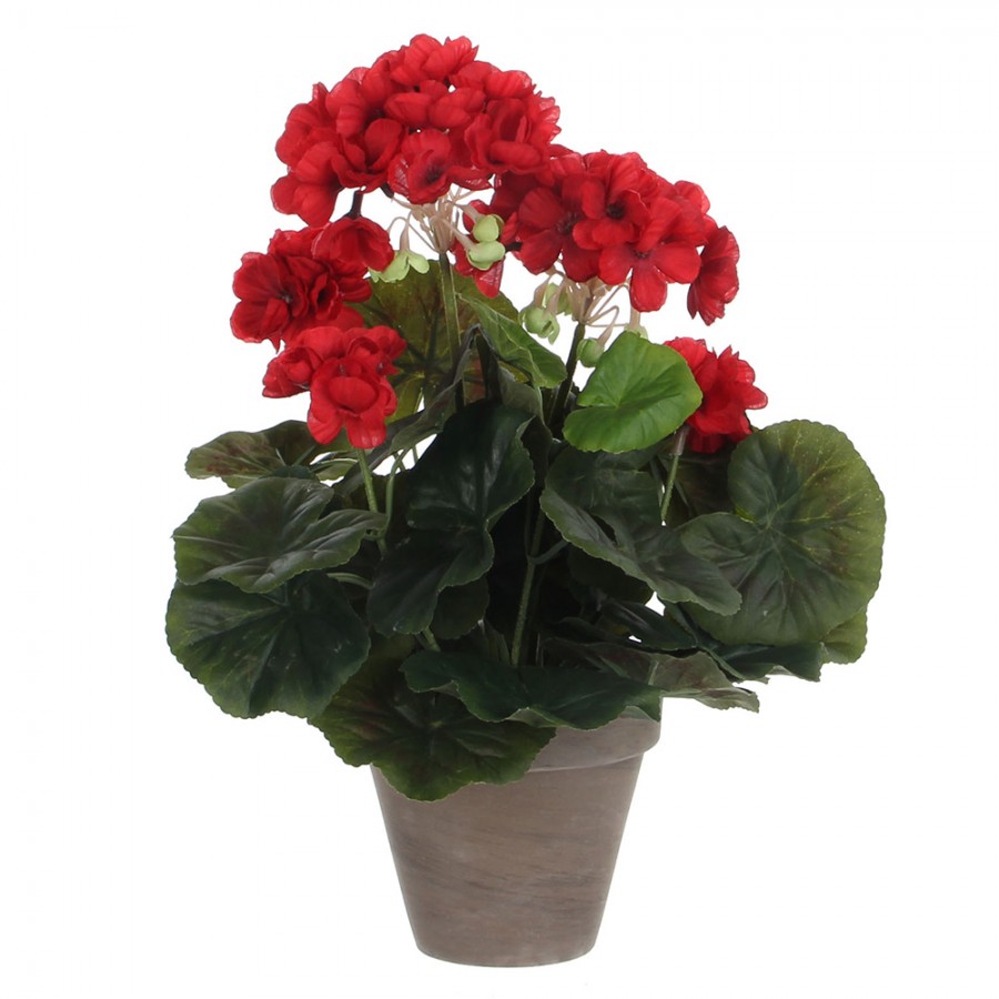 GERÂNIO COR VERMELHO PVC EM VASO CINZENTO GERÂNIO COR VERMELHO PVC EM VASO CINZENTO