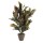 CROTON ARTIFICIAL VERDE EM VASO CINZENTO