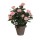 ROSAS COR ROSA PVC EM VASO CINZENTO