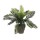 PALMEIRA (SAGU-DE-JARDIM) PVC COM VASO CINZENTO