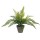SAMAMBAIA VERDE PVC COM VASO CINZENTO