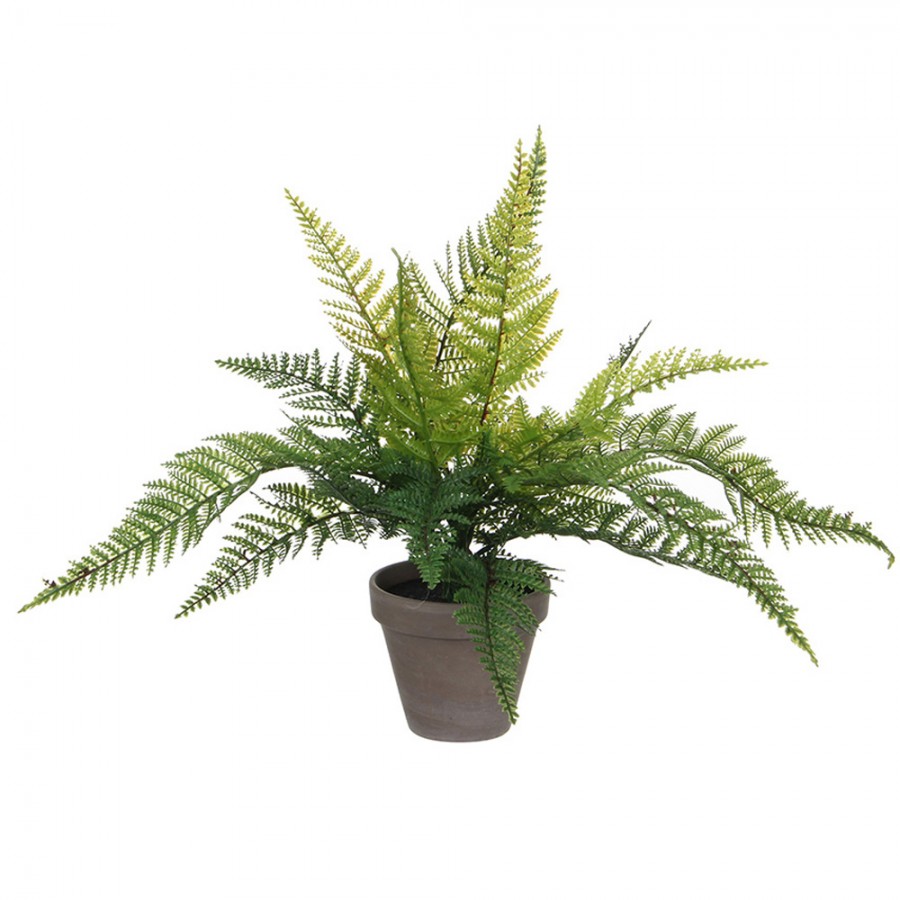 SAMAMBAIA VERDE PVC COM VASO CINZENTO