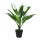 PLANTA ARTIFICIAL LÍRIO DA PAZ