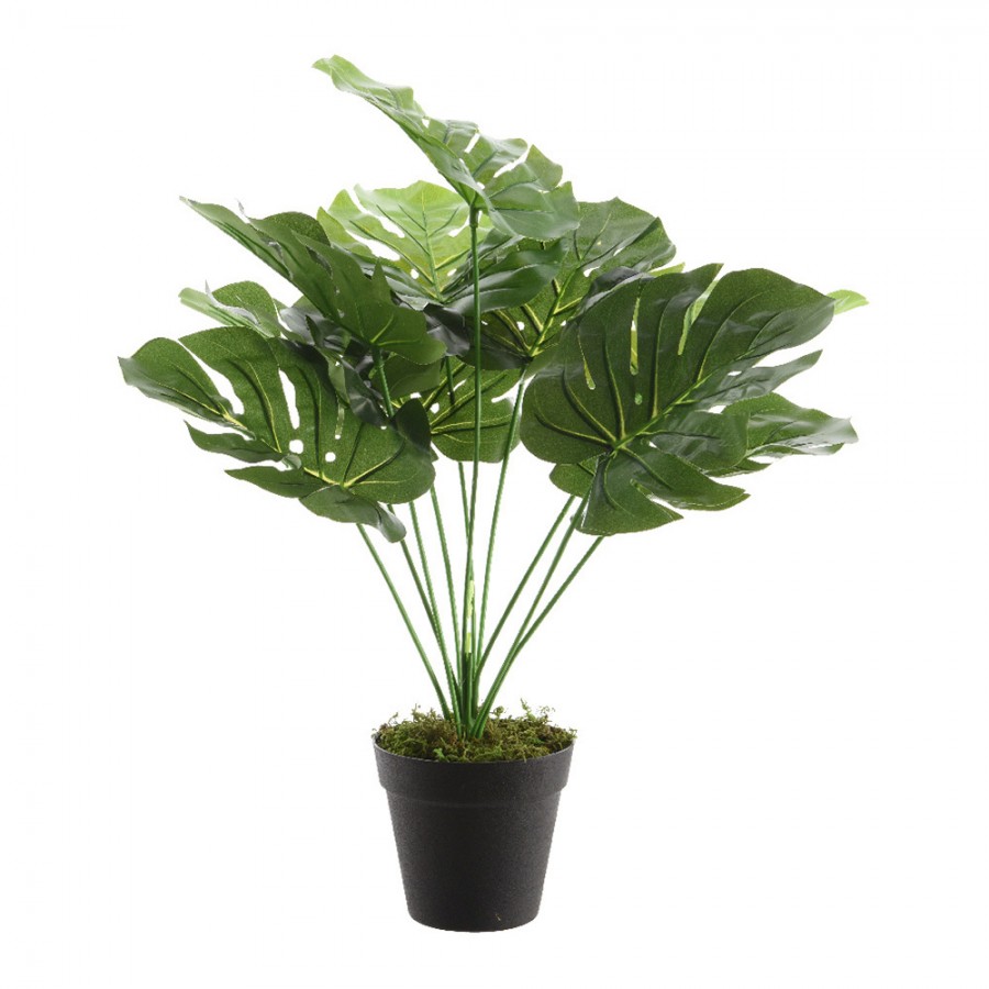 PLANTA ARTIFICIAL COSTELA DE ADÃO COM 7 FOLHAS PLANTA ARTIFICIAL COSTELA DE ADÃO COM 7 FOLHAS