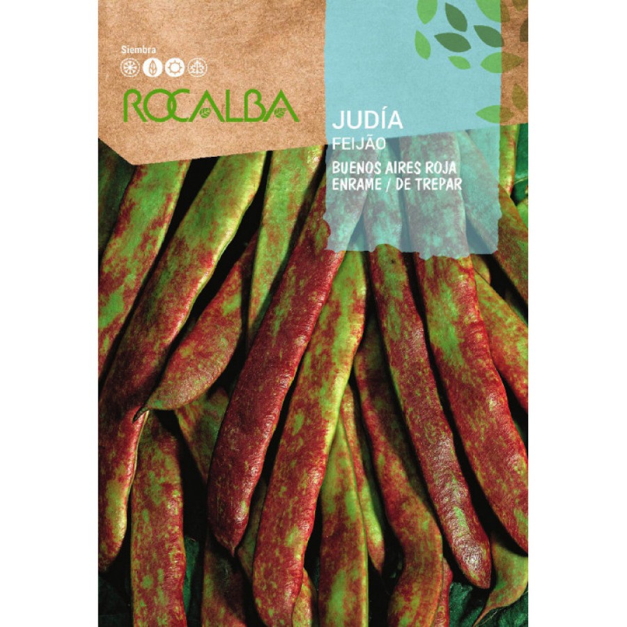 SEMENTE FEIJAO TREPAR VAGEM ROJA -CAIXA 250GR