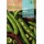 S.FAVA ROCALBA MUCHAMIEL       - CX250GR