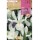 S.BOLBO SAQUETA ROCALBA IRIS DA HOLANDA WEDGEWOOD-EBIR6255