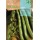 S.FAVA ROCALBA AGUADULCE       - CX250GR