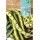 SEMENTE FAVA AGUADULCE SUPERLARGA- CAIXA 250GR