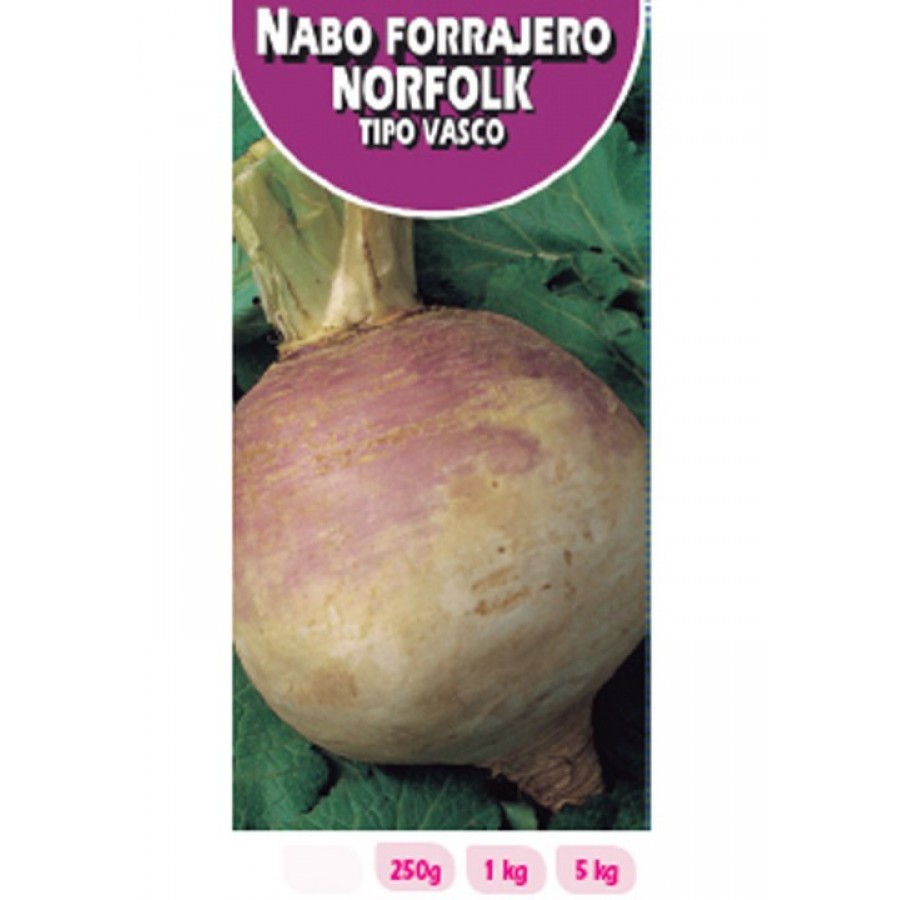 S.NABO ROCALBA NORFOLK VASCO - CX 250GR S.NABO ROCALBA NORFOLK VASCO - CX 250GR