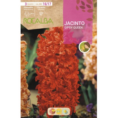 S.BOLBO SAQUETA JACINTO LARANJA GIPSY QUEEN - EBJN5490