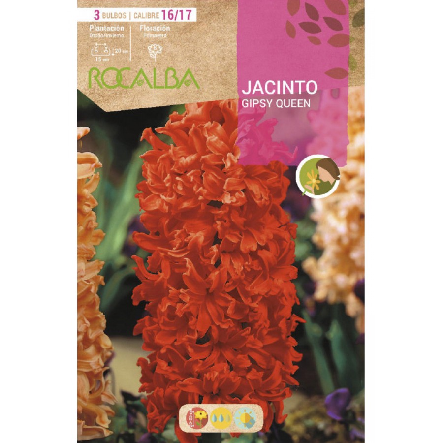 S.BOLBO SAQUETA JACINTO LARANJA GIPSY QUEEN - EBJN5490 S.BOLBO SAQUETA JACINTO LARANJA GIPSY QUEEN - EBJN5490