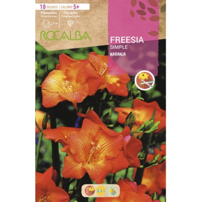 S.BOLBO SAQUETA ROCALBA FREESIA ORANGE