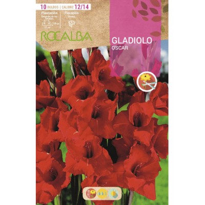 S.BOLBO SAQUETA ROCALBA GALADIOLO OSCAR - EBGL8045