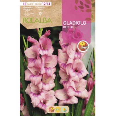 S.BOLBO SAQUETA ROCALBA GALADIOLO DECISO - EBGL8070