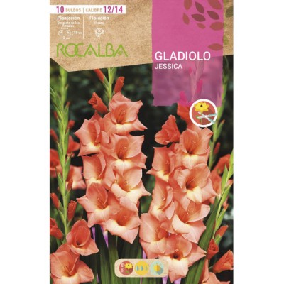 S.BOLBO SAQUETA ROCALBA GALADIOLO JESSICA - EBGL8080