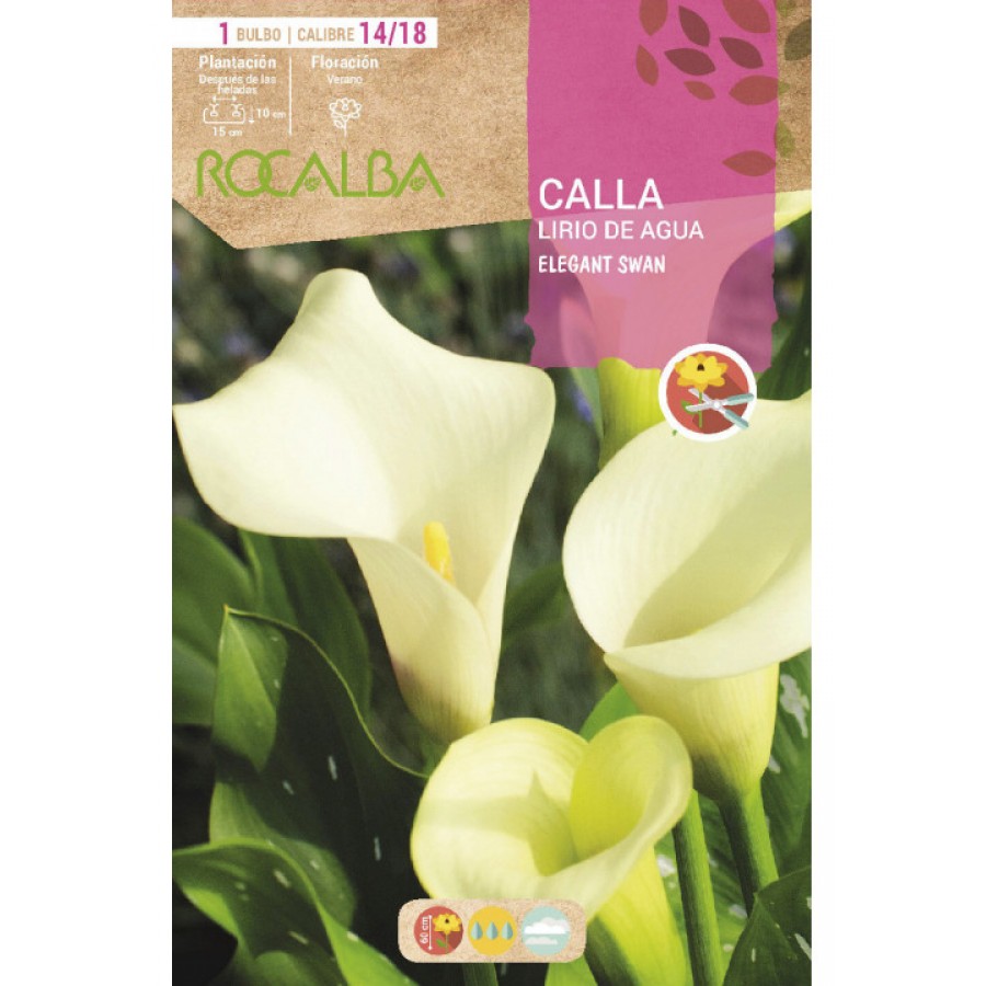 S.BOLBO SAQUETA ROCALBA JARROS BRANCO S.BOLBO SAQUETA ROCALBA JARROS BRANCO