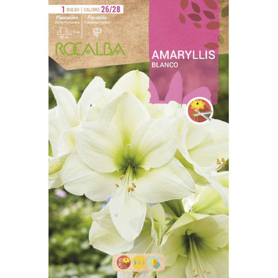 S.BOLBO SAQUETA ROCALBA AMARYLLIS BRANCO - EBAM5905