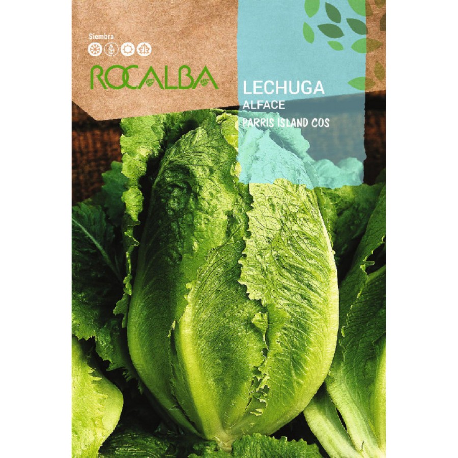 S.ALFACE ROCALBA ROMANA PARRIS ISLAND S.ALFACE ROCALBA ROMANA PARRIS ISLAND