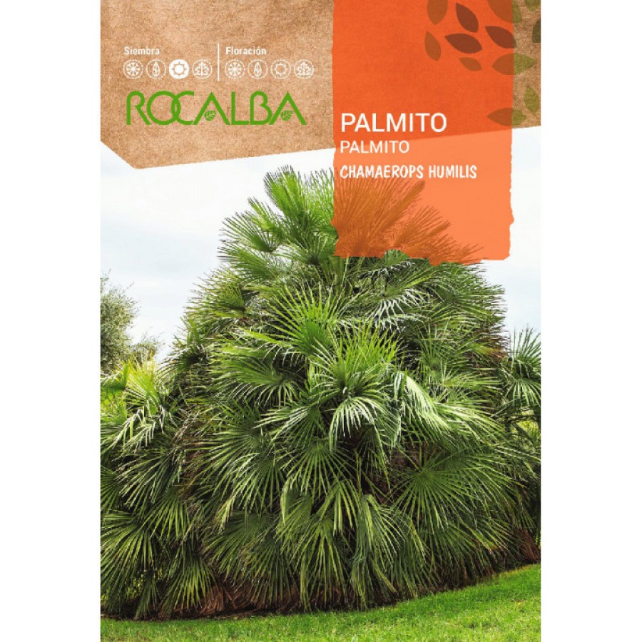 S.PALMITO ROCALBA S.PALMITO ROCALBA