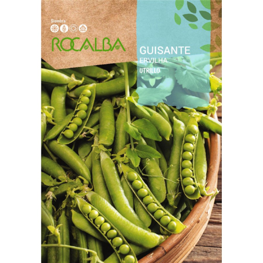S.ERVILHA ROCALBA UTRILLO- CAIXA 250 GR S.ERVILHA ROCALBA UTRILLO- CAIXA 250 GR