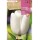 S.BOLBO SAQUETA TULIPA BRANCA WHITE DREAM -EBTN5055
