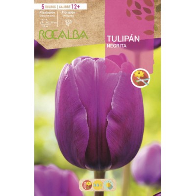 S.BOLBO SAQUETA TULIPA  NEGRITA     -EBTN5065