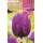 S.BOLBO SAQUETA TULIPA  NEGRITA     -EBTN5065