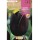 S.BOLBO SAQUETA TULIPA PRETA QUEEN NIGHT -EBTN5080