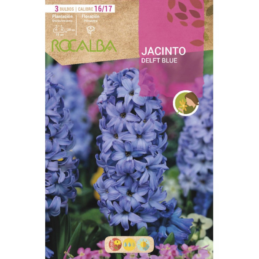 S.BOLBO SAQUETA JACINTO DELFT BLUE -AZUL INTENSO
