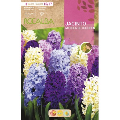 S.BOLBO SAQUETA JACINTO MISTURA DE CORES  - EBJN5515