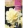 S.BOLBO SAQUETA ROCALBA NARCISO DOBRADO CHEERFULNESS BRANCO - EBND5605
