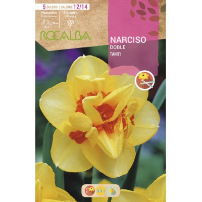 S.BOLBO SAQUETA ROCALBA NARCISO DOBRADO TAHIT IAMARELO CENTRO LARANJA-EBND5620<br>